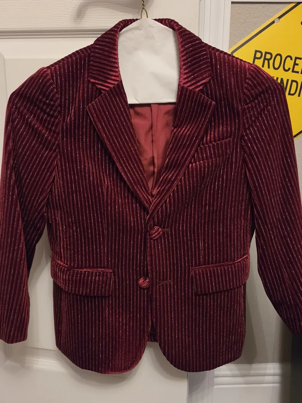 Men's Burgundy Velvet Pinstripe Blazer